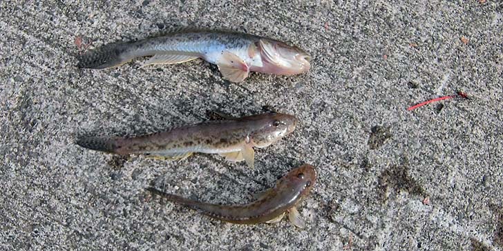 160927_1459haze.jpg(135868 byte)