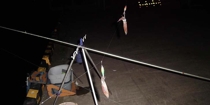 160927_1824mameika.jpg(51831 byte)