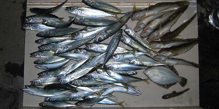 160927_2.jpg(99698 byte)