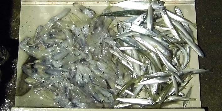 161005.jpg(94009 byte)