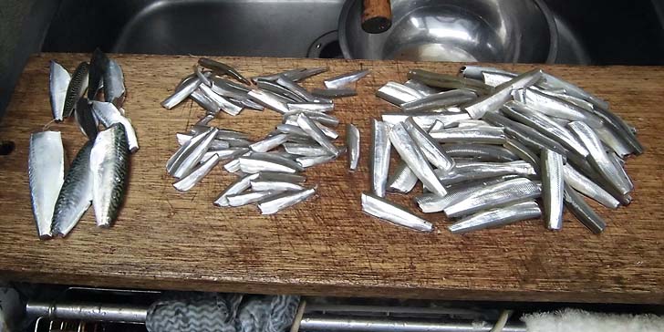 161005_r_sabatika.jpg(97090 byte)