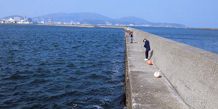 161016_1133wakatake1.jpg(90691 byte)