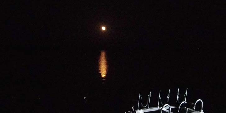161019_1950moon.jpg(36710 byte)