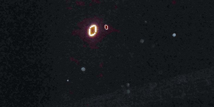 161102_1734neon.jpg(50093 byte)