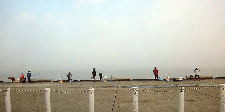 161119_1208ferry.jpg(51305 byte)