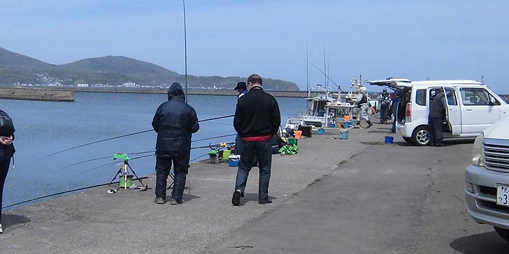 170510_1113wakatake.jpg(67327 byte)