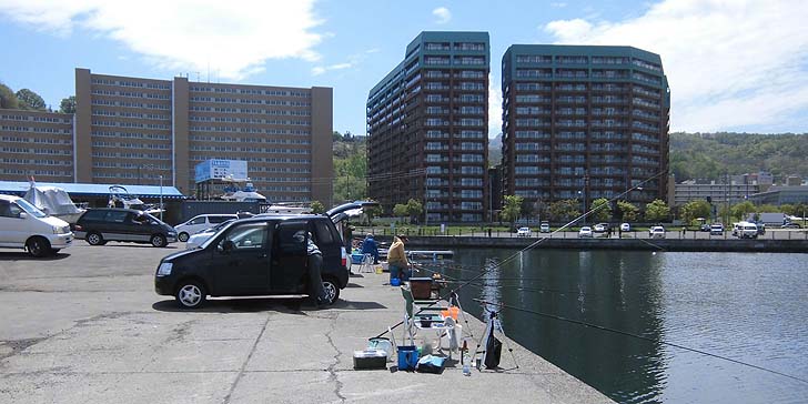 170517_1138wakatake.jpg(87438 byte)