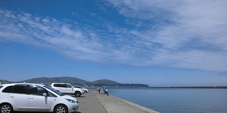 170517_1141wakatake.jpg(52669 byte)