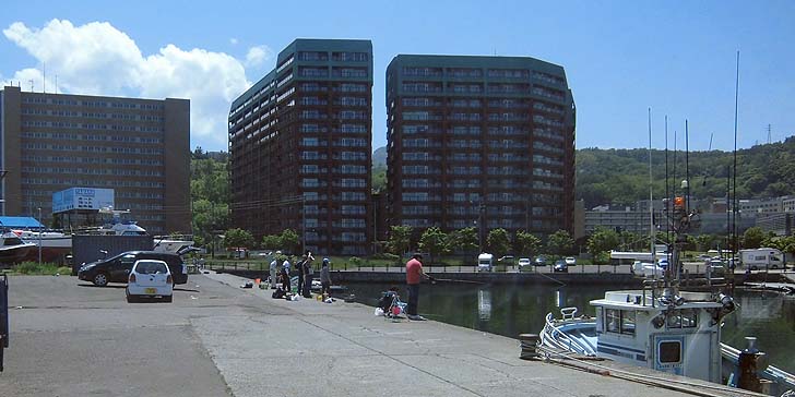 170614_1150wakatake.jpg(81093 byte)