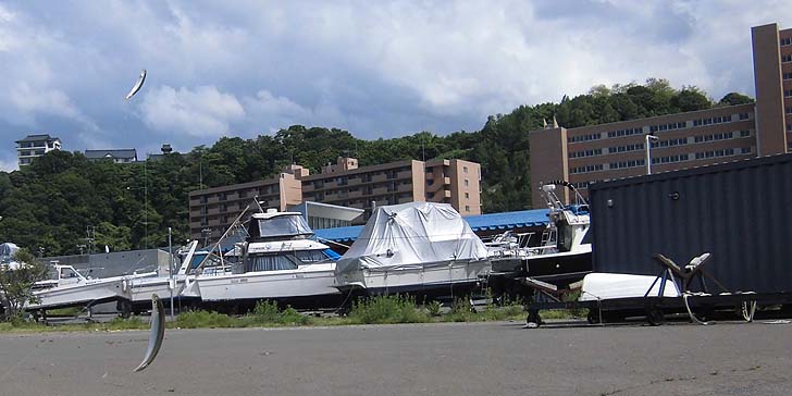 170614_1402tika.jpg(77783 byte)