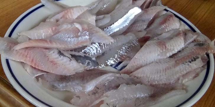 170628_r_nigiri01.jpg(69342 byte)