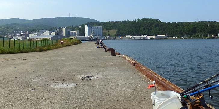 170713_1442hidari.jpg(81751 byte)