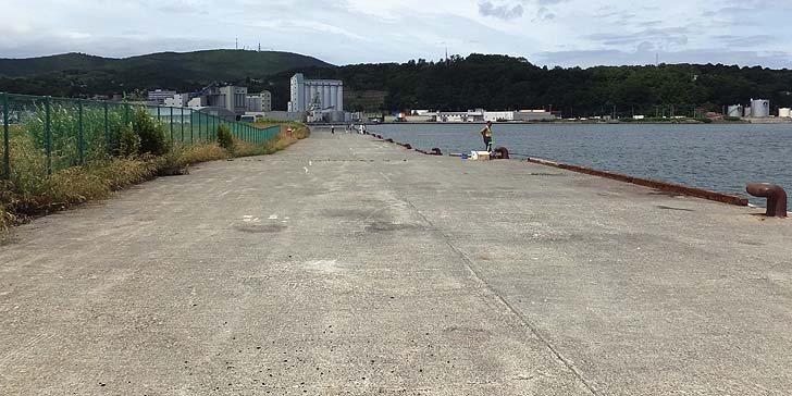 170719_1215ironaiokigawa.jpg(90993 byte)