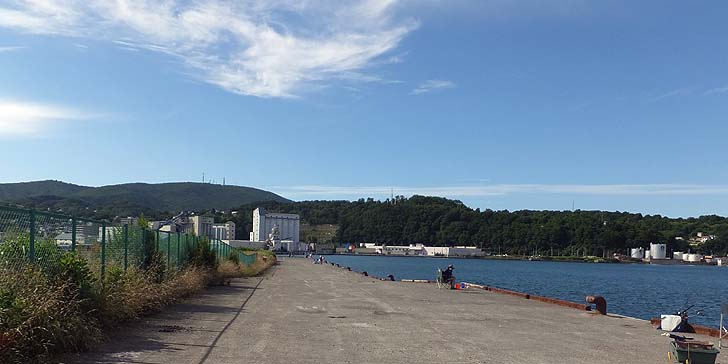170726_1520okigawa.jpg(66179 byte)