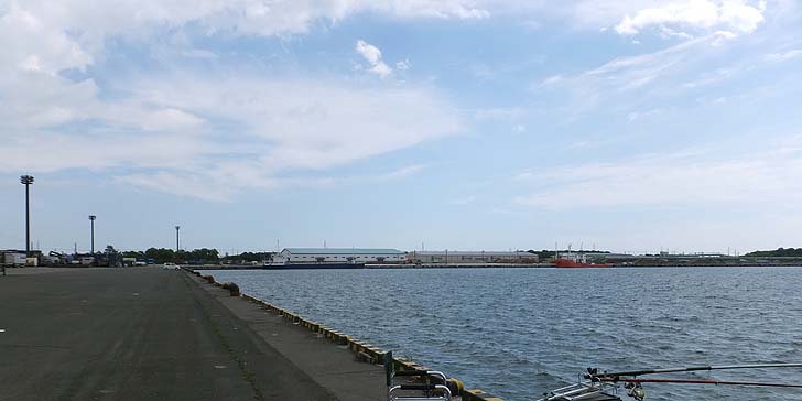 170801_1341hidari.jpg(57147 byte)
