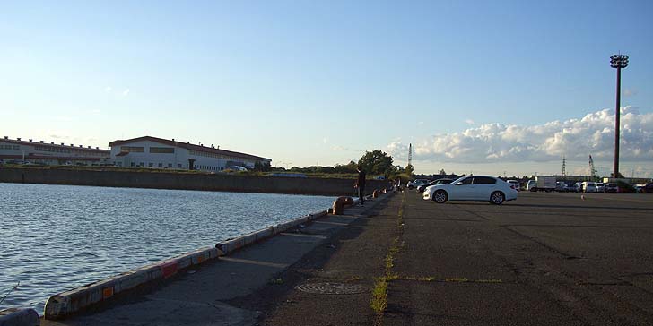 170904_1722migi.jpg(61409 byte)