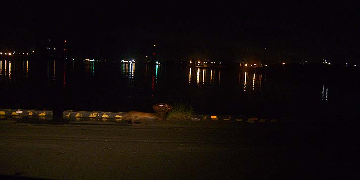 170904_2053kaeri.jpg(45631 byte)