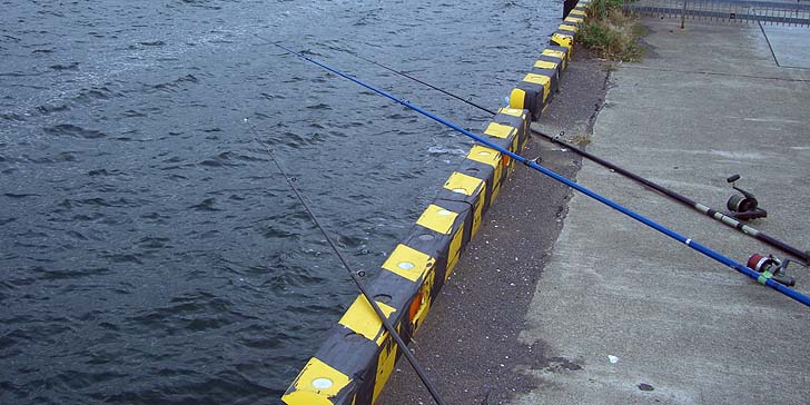 170917_1439nagesao.jpg(92300 byte)