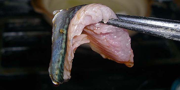 171001_r_sabasasi2.jpg(60568 byte)