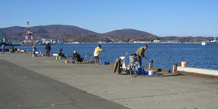 171027_1403hidari.jpg(74352 byte)