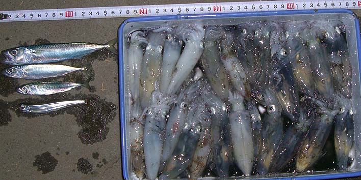 171107.jpg(96920 byte)