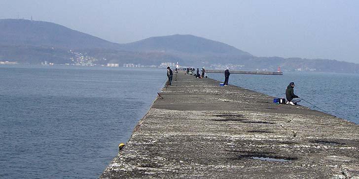 171107_1138minami.jpg(78362 byte)