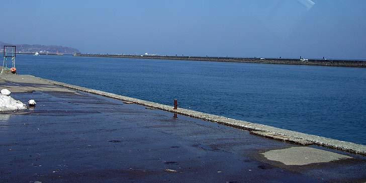 180402_1130wakatake.jpg(61017 byte)
