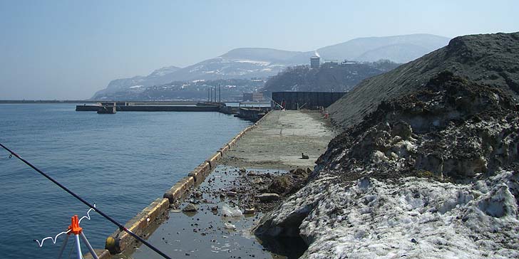 180402_1136katunai.jpg(86238 byte)