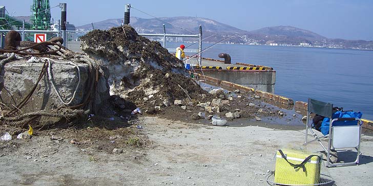 180402_1229katunaikado.jpg(104325 byte)