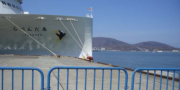 180423_1137hidari.jpg(66290 byte)