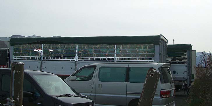 180423_1433usi.jpg(61027 byte)