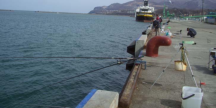 180423_1434turiza.jpg(84005 byte)