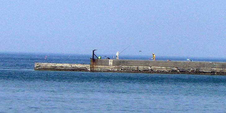 180429minamibouha.jpg(59549 byte)
