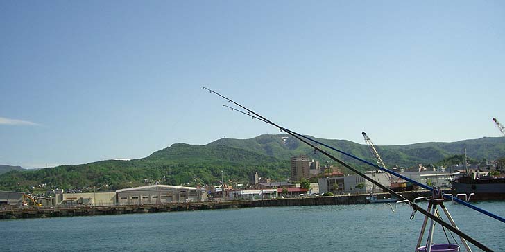 180524_1445nagesao.jpg(60443 byte)