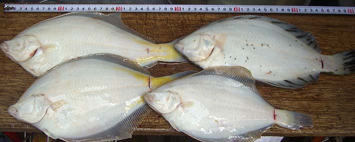 180524_2.jpg(68013 byte)
