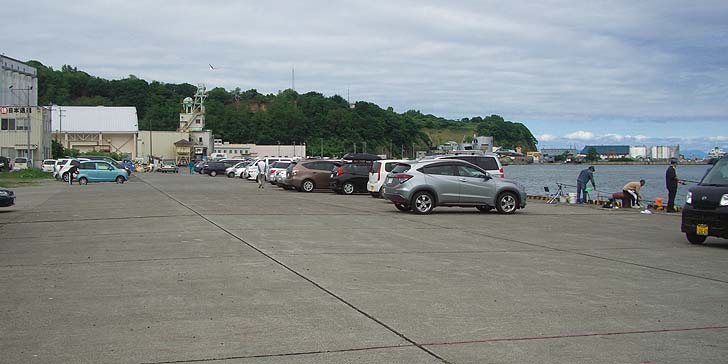 180706_1325gekikomi.jpg(69614 byte)