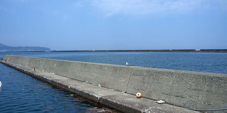 180725_1218minami.jpg(70449 byte)