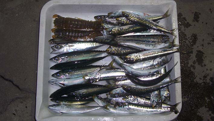 180823.jpg(97154 byte)