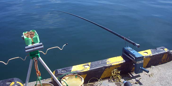 180823_1211subari.jpg(71197 byte)