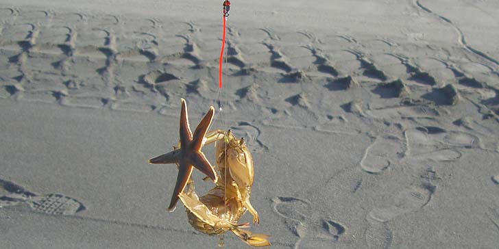 180823_1654syako.jpg(64950 byte)