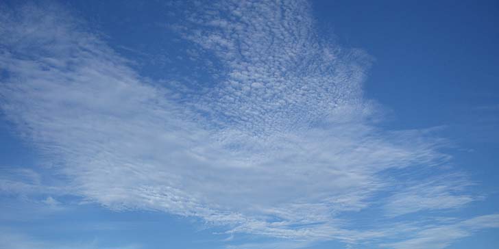 180823_1711kumo.jpg(45865 byte)