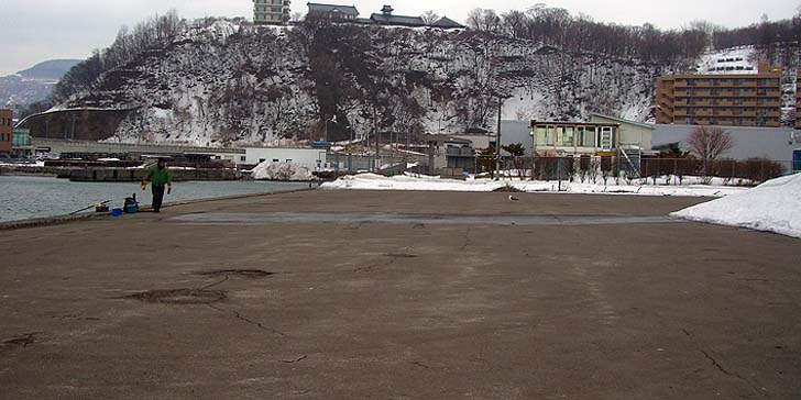 190311_1209migi.jpg(73361 byte)