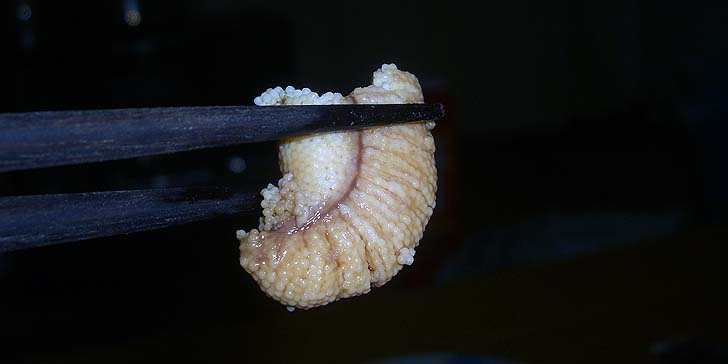 190311_r_05.jpg(33488 byte)