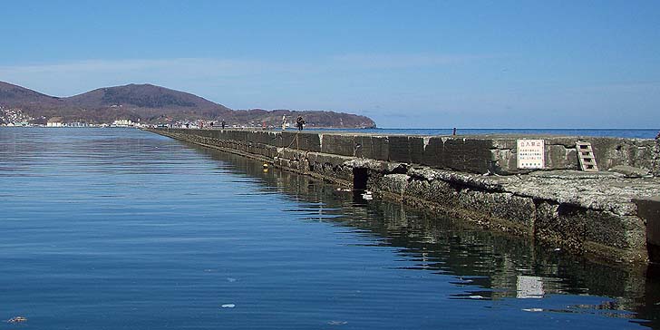 190408_1109minamibouha.jpg(64456 byte)