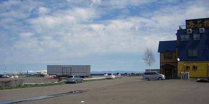 190428_1114wakatake.jpg(48981 byte)