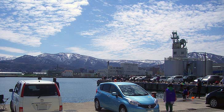 190428_1128kitahama1.jpg(73799 byte)
