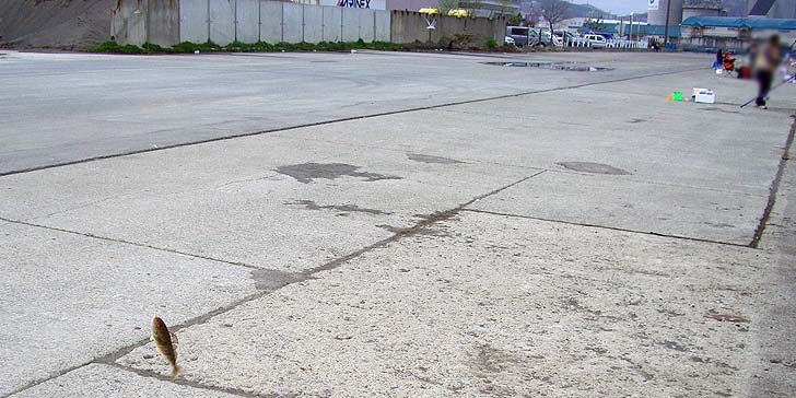 190501_1346hokke.jpg(86903 byte)