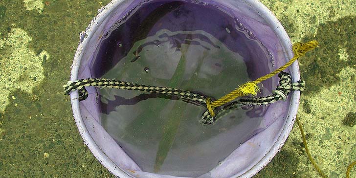 190501_1510tika.jpg(90320 byte)