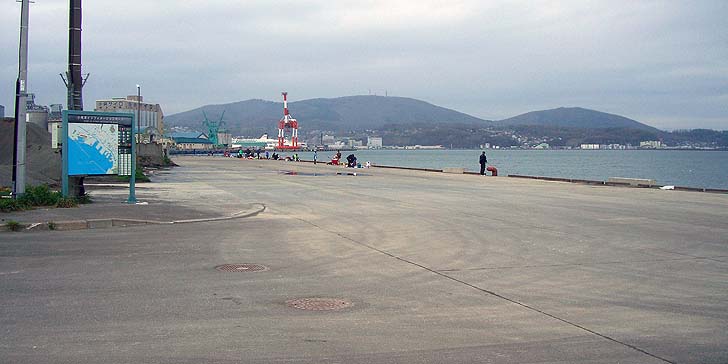 190501_1606saigo.jpg(52210 byte)