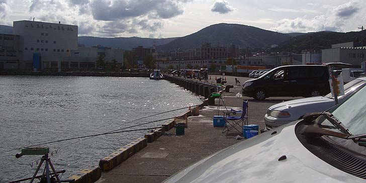 191007_1240migi.jpg(75750 byte)